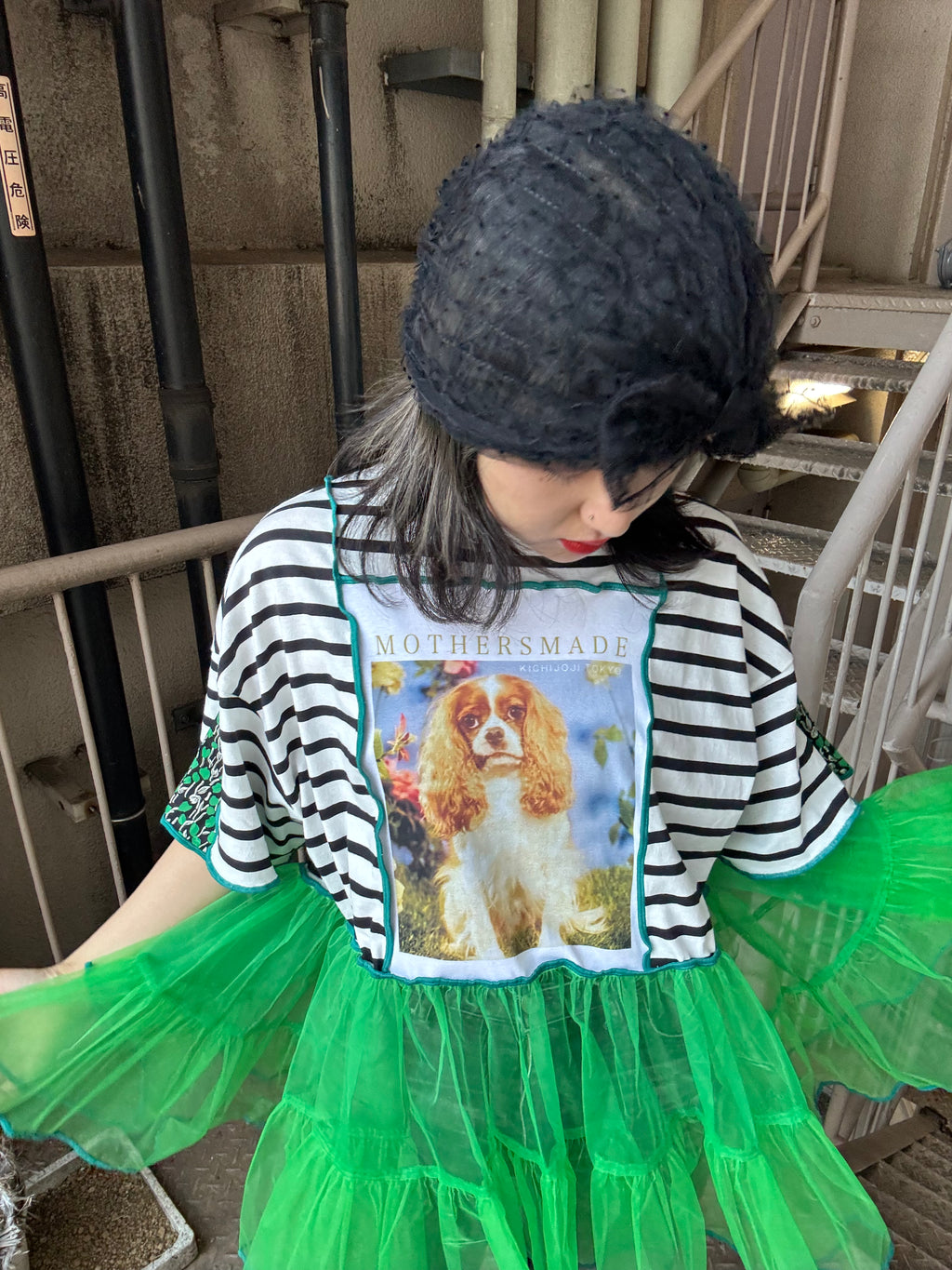 キャバリア犬半袖ボーダーTシャツ＆グリーンチュール