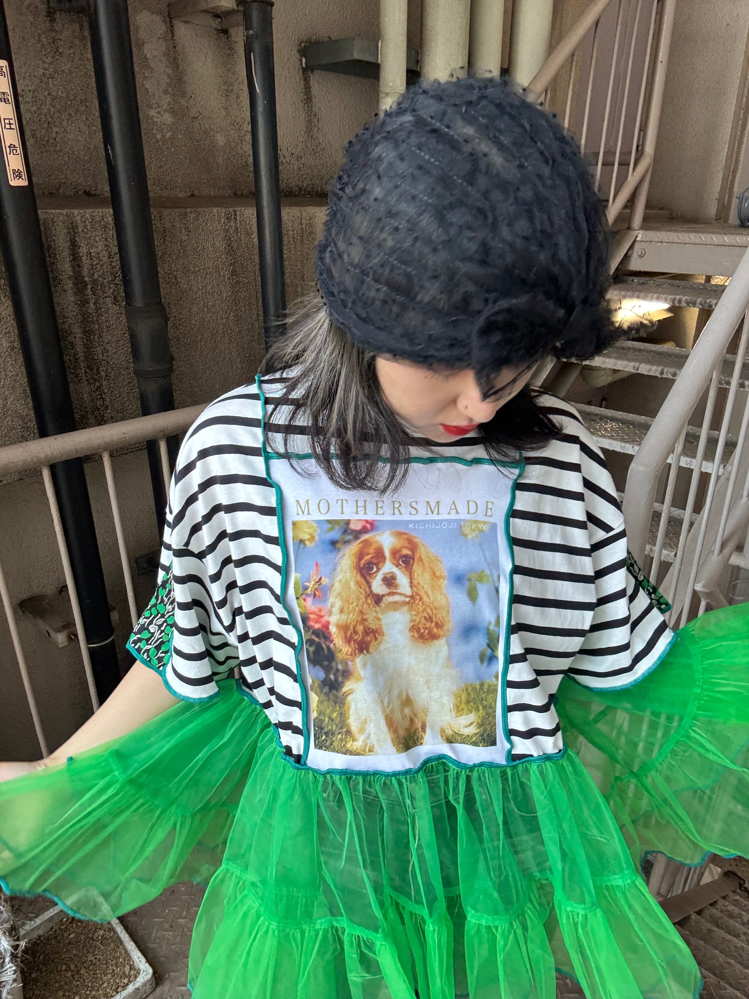 キャバリア犬半袖ボーダーTシャツ＆グリーンチュール